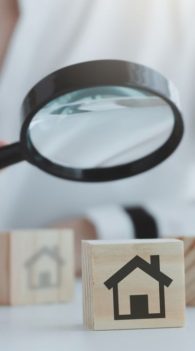 Untitled design - 2024-10-04T134518.304 (1)